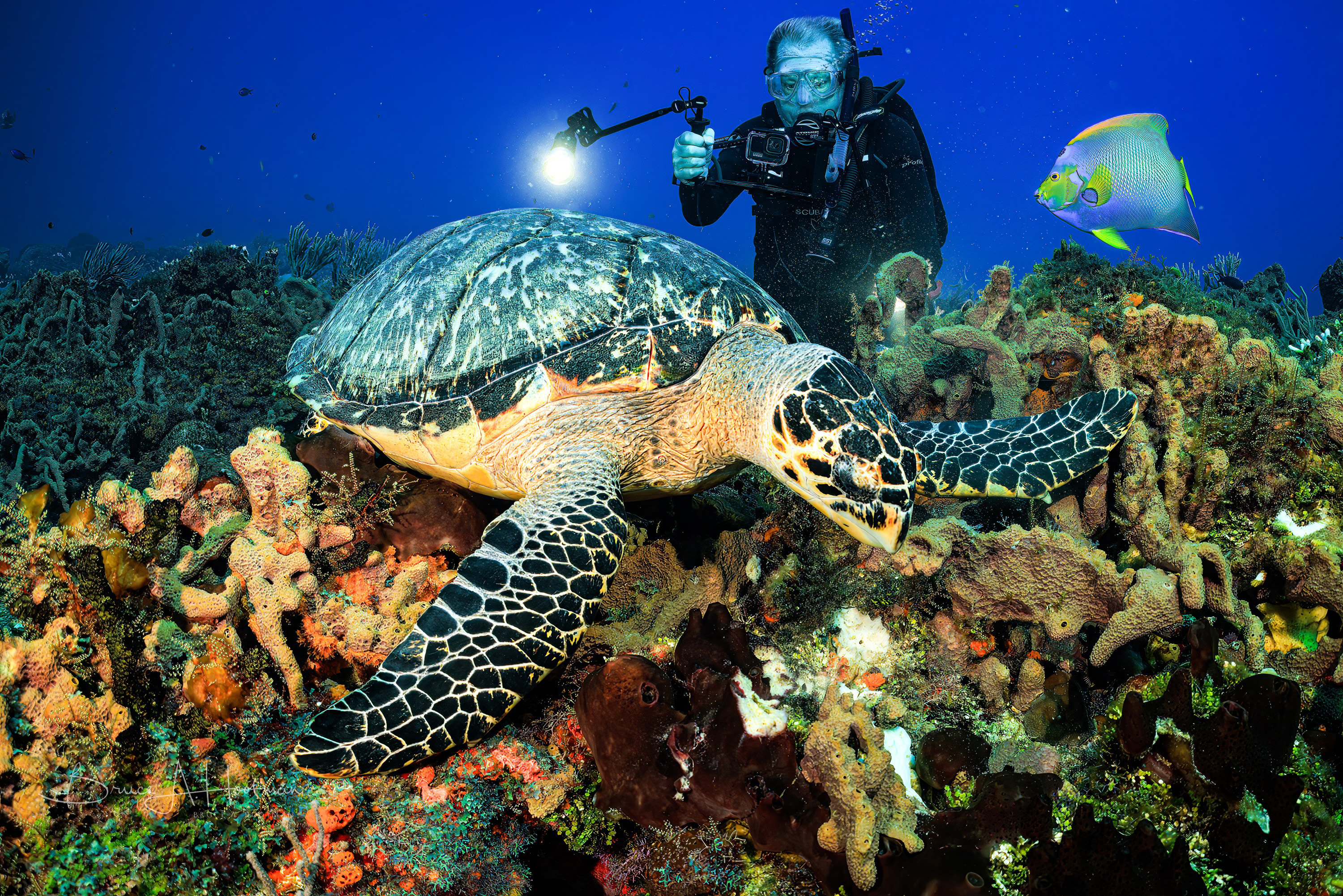 Dougie with a friend